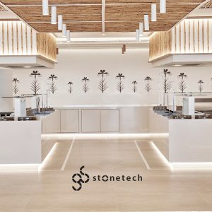 stonetech